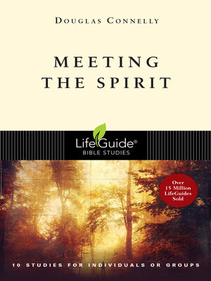 cover image of Meeting the Spirit